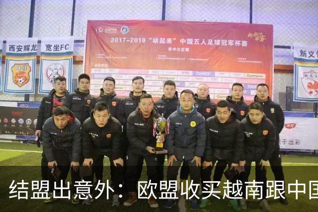 结盟出意外：欧盟收买越南跟中国对着干，没料到越南狮子大开口